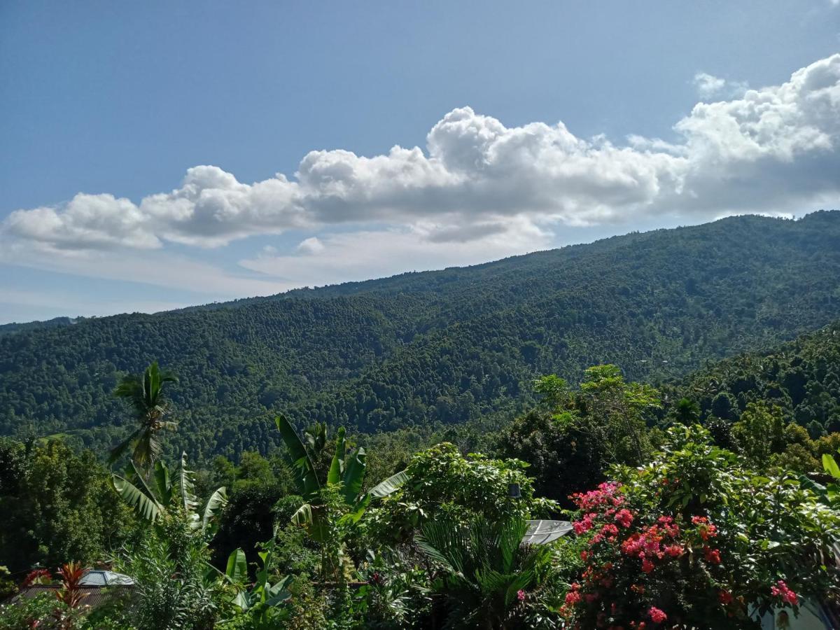 Aris Homestay And Warung Made Munduk Eksteriør billede