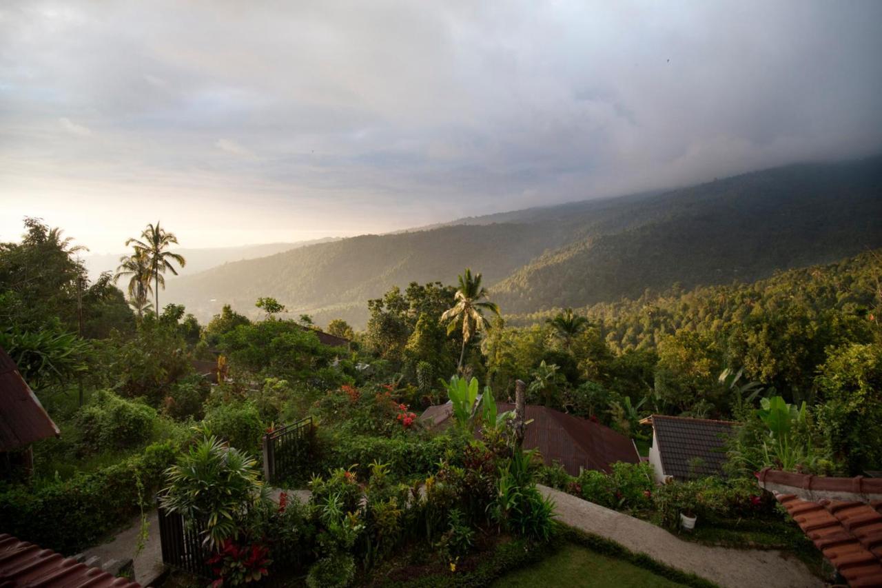 Aris Homestay And Warung Made Munduk Eksteriør billede